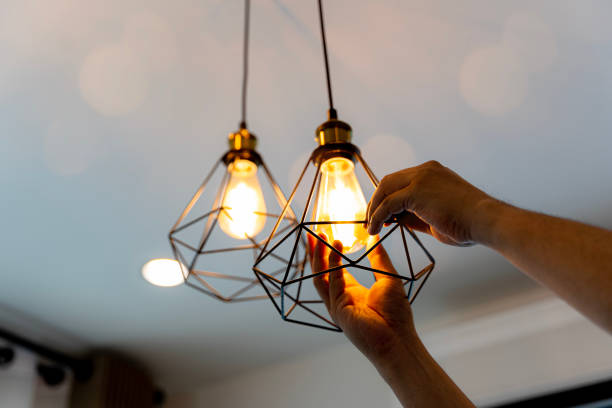 Best Ceiling Fan Installation Electrician  in Randolph, WI