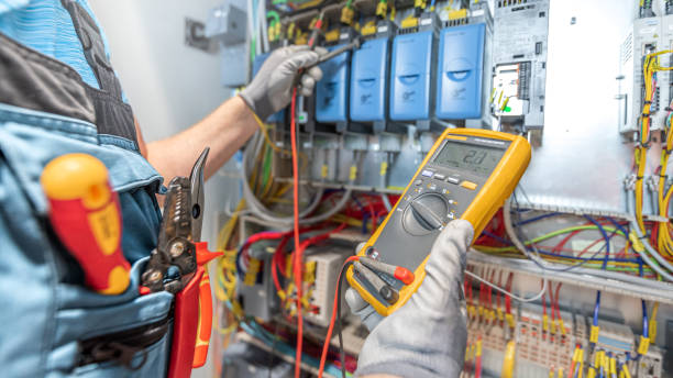 Best Electrical System Inspection  in Randolph, WI